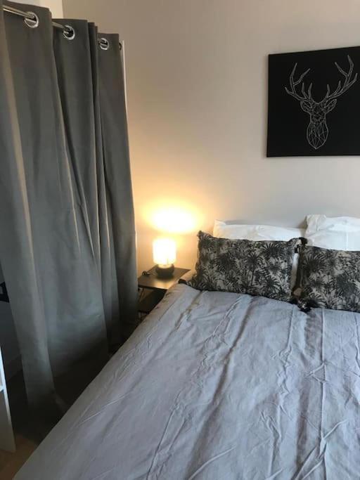 Bel Appartement 6P Tours Centre Екстер'єр фото